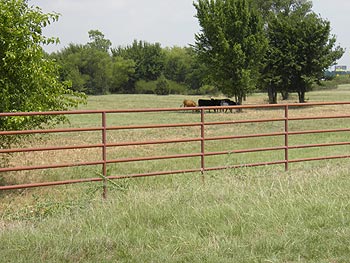 Future Home of Premier Equine Veterinary Services